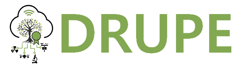 DRUPE – Decision support system based on in-situ and aeRial spectroscopy and distribUted network of heterogeneous sensors for the Production of olivEs